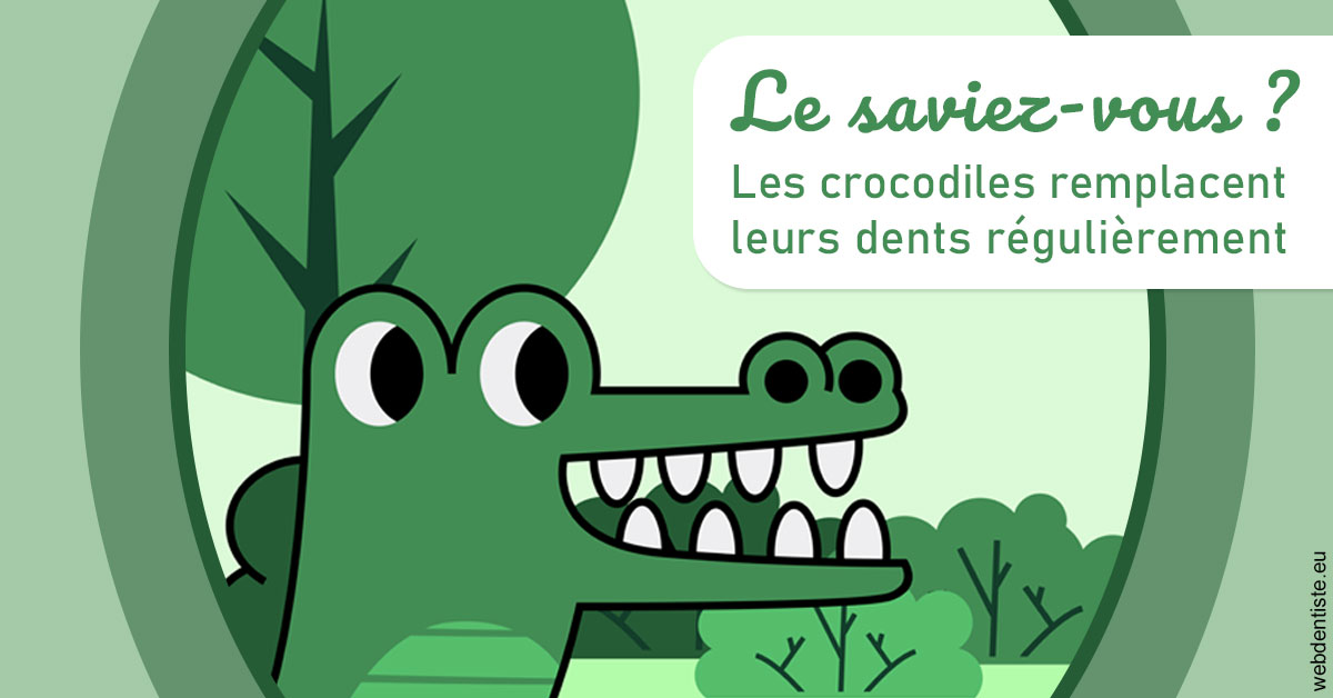 https://dr-wintenberger-hugo.chirurgiens-dentistes.fr/Crocodiles 2